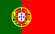 Using portuguese to browse website content.