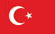 Using turkish to browse website content.